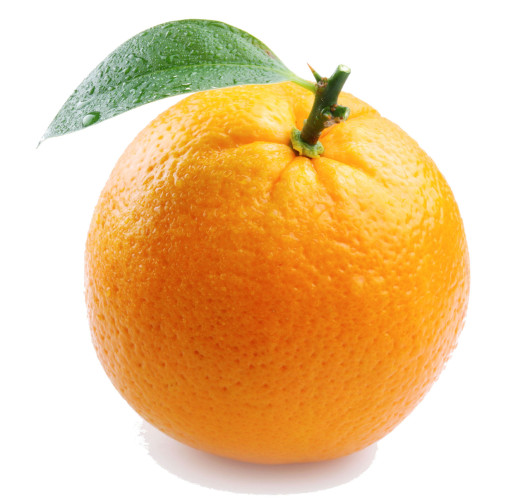 667238 (a): :1650x1588